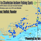 Edisto to Charleston South Carolina Inshore Fishing Spots
